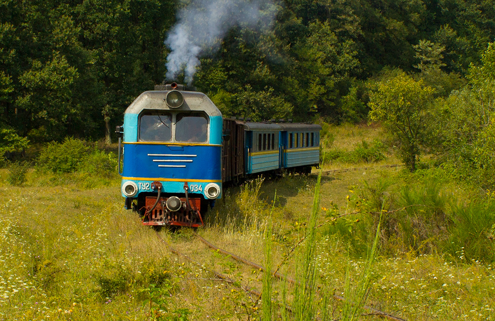 Боржавська вузькоколійна залізниця
